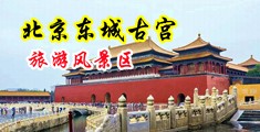 美国骚妞人人操中国北京-东城古宫旅游风景区